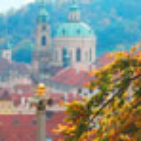 Favorite Juice Center